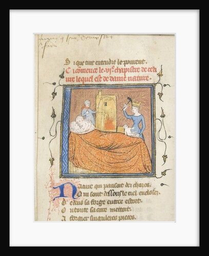 Miniature from a manuscript of the Roman de la Rose by Guillaume de Lorris and Jean de Meun, ca 1365 by Master of the Rose novels