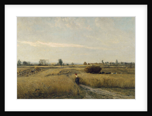 The Harvest, 1851 by Charles-François Daubigny