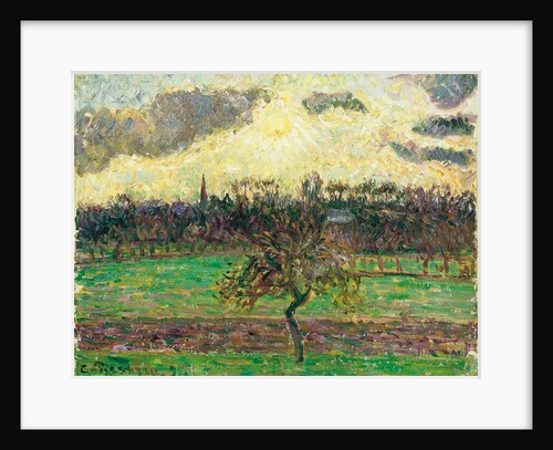 The Meadows at Éragny, Apple Tree, 1894 by Camille Pissarro