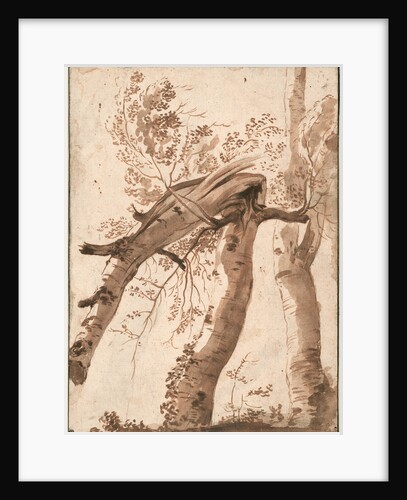 Two Silver Birches, the Front One Fallen, c. 1629 by Nicolas Poussin