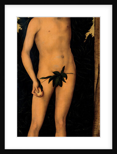Adam, after 1537 by Lucas Cranach the Elder