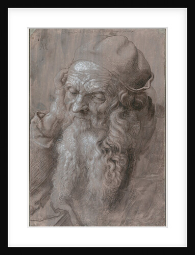Head of an Old Man, 1521 by Albrecht Dürer