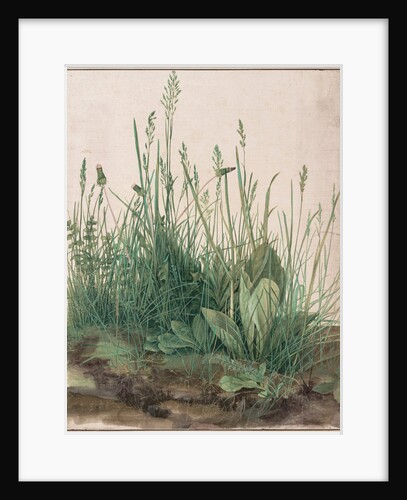 The Large Piece of Turf, 1503 by Albrecht Dürer