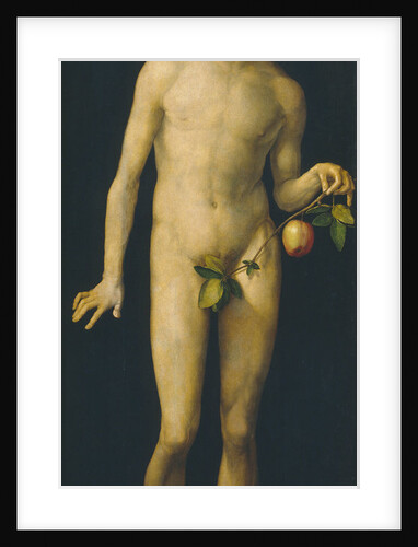 Adam, 1507 by Albrecht Dürer