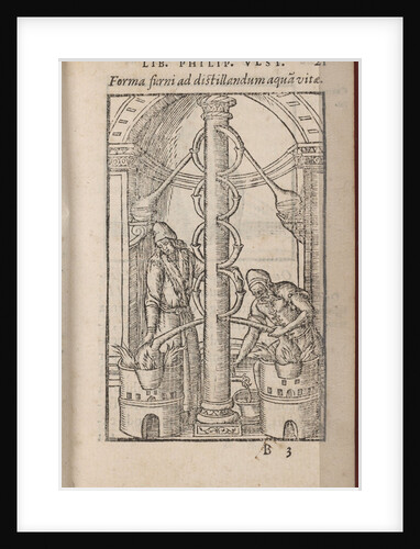 Alchemical apparatus by Philipus Ulstadius