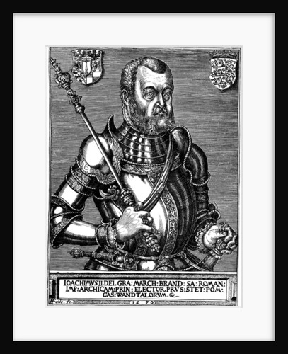 Portrait of Joachim II Hector, Elector of Brandenburg, 1570 by Franz Friderich