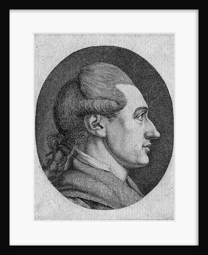 Portrait of the author Johann Wolfgang von Goethe by Dora Stock