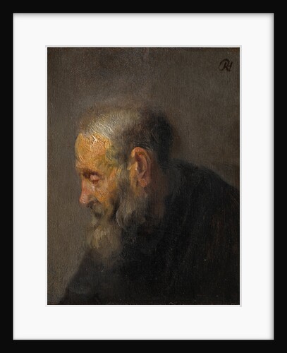 Study of an Old Man in Profile, c.1630 by Rembrandt van Rhijn