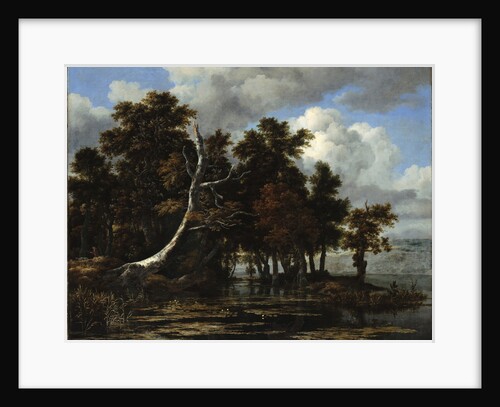 Oaks at a lake with Water Lilies by Jacob Isaacksz van Ruisdael