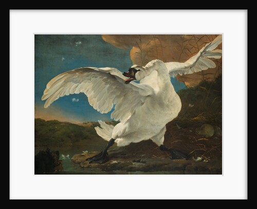 The Threatened Swan, before 1652 by Jan Asselijn