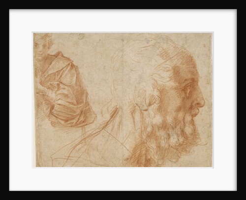 A youth and the head of an old man (Homer?). Study, ca 1521 by Andrea del Sarto