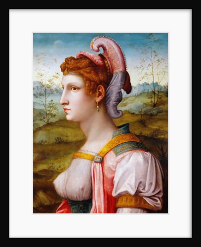 Sibyl, 1525-1550 by Francesco Bacchiacca