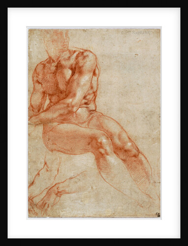 Seated Young Male Nude and Two Arm Studies by Michelangelo Buonarroti