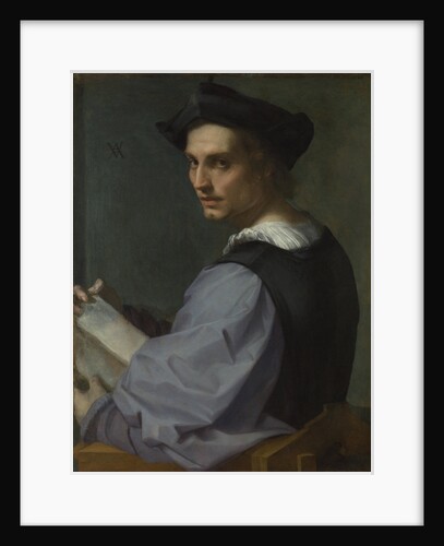 Portrait of a Young Man, ca 1518 by Andrea del Sarto