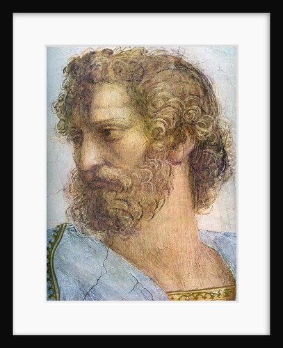 Aristotle. Stanza della Segnatura. The School of Athens (Detail) by Raphael