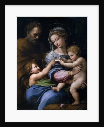 The Madonna of the Rose (Madonna della rosa), c. 1520 by Raphael