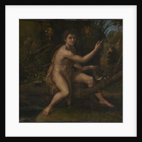 Saint John the Baptist, 1519 by Raphael