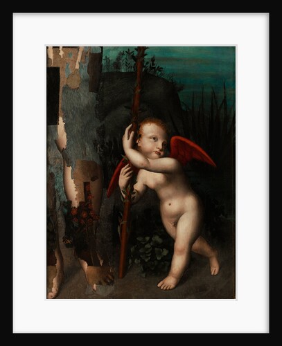 Cupid with a myrtle, before 1593 by Aurelio Luini