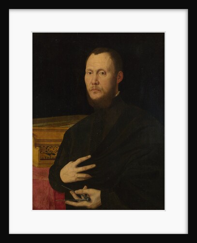 Portrait of a Musician, c. 1565 by Bernardino Campi