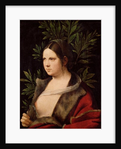 Young Woman (Laura), 1506 by Giorgione