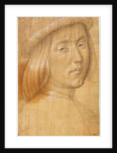 Head of a Youth by Lorenzo di Credi