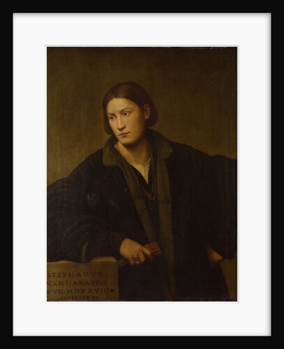 Portrait of Stefano Nani, 1528 by Bernardino Licinio