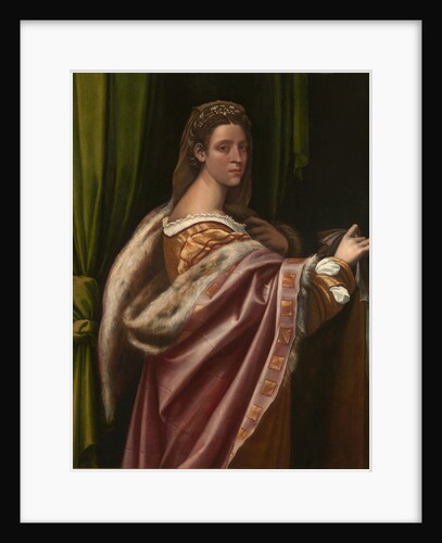 Portrait of a Lady, 1540s by Sebastiano del Piombo