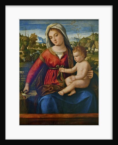 Virgin and Child by Andrea Previtali