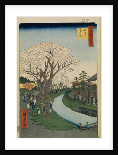 Cherry Blossoms on the Banks of the Tama River by Utagawa Hiroshige