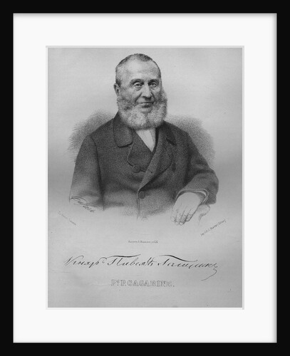 Portrait of Count Pavel Pavlovich Gagarin, 1865 by Pyotr Fyodorovich Borel