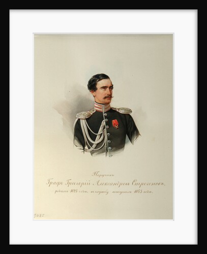 Portrait of Count Grigori Alexandrovich Stroganov by Vladimir Ivanovich Hau