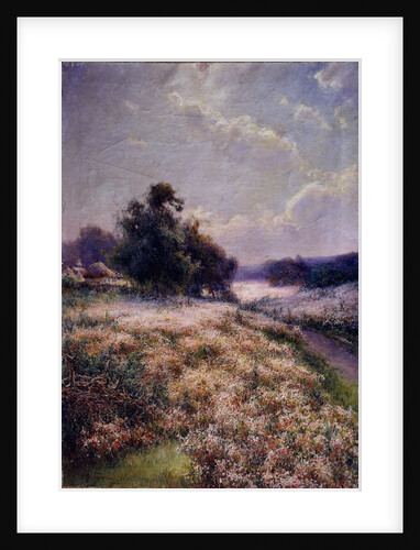 Blooming Meadow, 1906 by Mikhail Andreyevich Berkos