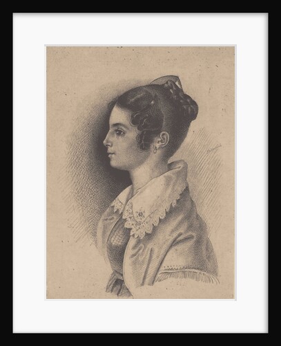 Countess Vera Fyodorovna Vyazemskaya, née Gagarina by Vasili Fyodorovich Binemann