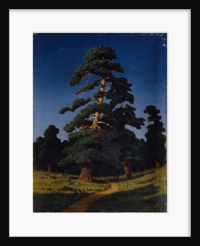 Pine Tree by Arkhip Ivanovich Kuindzhi