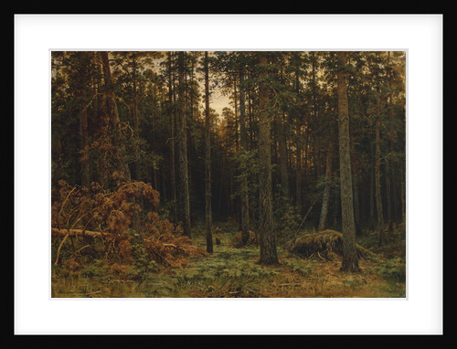 Pinewood, 1885 by Ivan Ivanovich Shishkin