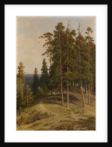 The Pine Forest, 1895 by Ivan Ivanovich Shishkin