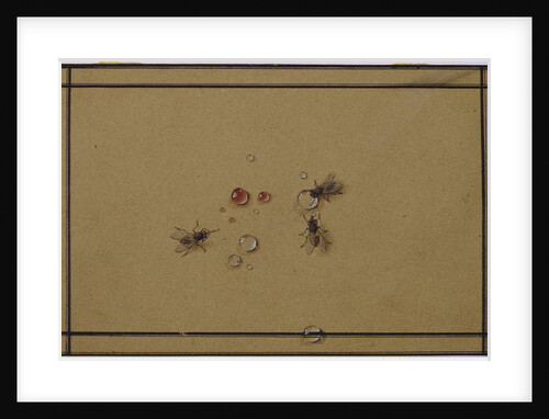 The flies at the waterdrops by Fyodor Petrovich Tolstoy