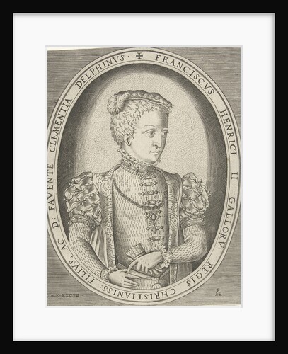 Portrait of Francis II of France by Pieter Heyden van der