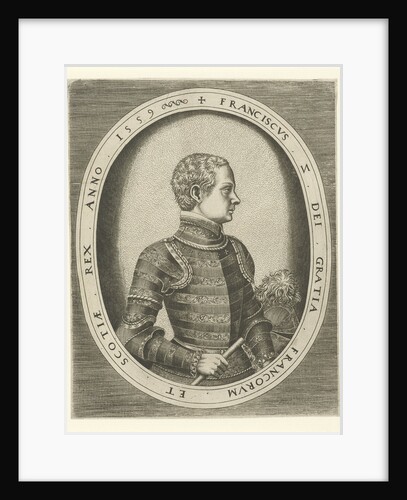 Portrait of Francis II of France, 1559 by Frans Huys
