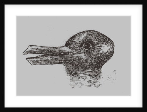 Duck-Rabbit illusion. From: Jastrow, J. The minds eye. Popular Science Monthly, 1899 by Joseph Jastrow