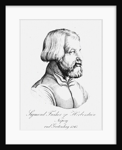 Portrait of Baron Sigmund von Herberstein, Ambassador in Poland and Russia, 1547 by Anonymous