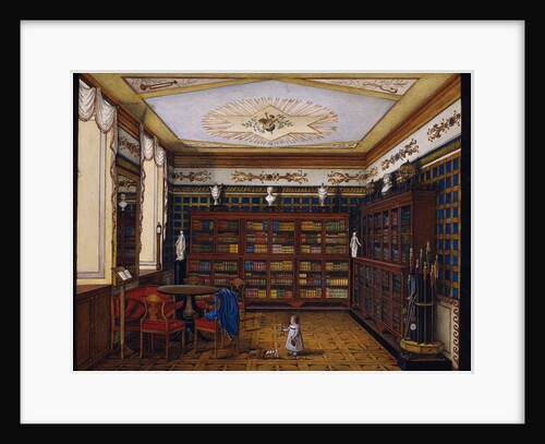 The Library of Count Henryk Ilinsky in Romaniv, 1824 by Anonymous