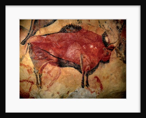 Painting in the cave of Altamira, 35,000 to 11,000 BC by Art of the Upper Paleolithic
