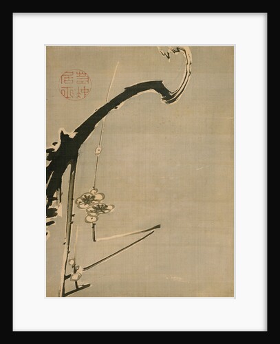 Plum Blossoms, 18th century by Ito Jakuchu
