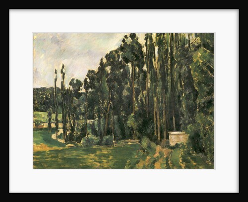 Poplars, 1879-1880 by Paul Cézanne