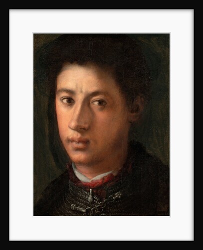 Portrait of Alessandro de Medici, 1534-1535 by Pontormo