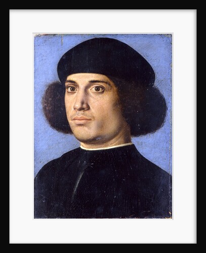 Portrait of a Man, Early16th cen by Andrea Previtali