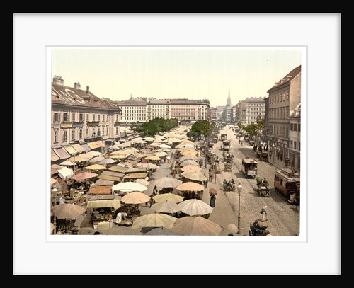 The Naschmarkt, Vienna by Anonymous