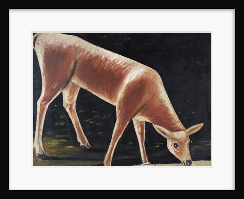Roe deer drinking by Niko Pirosmani