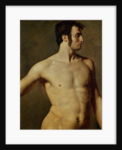 Male Torso by Jean Auguste Dominique Ingres
